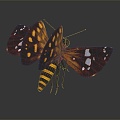 Modern butterfly moth insect 3d model