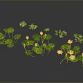 Beautiful Lotus Flowers And Green Leaves Floating On Water Surface With Small Plants