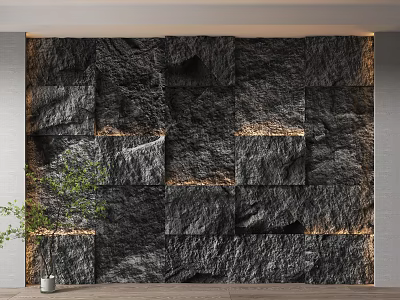 Illuminated Black Stone Feature Wall with Irregular Stones and Green Plant in Interior 3d model