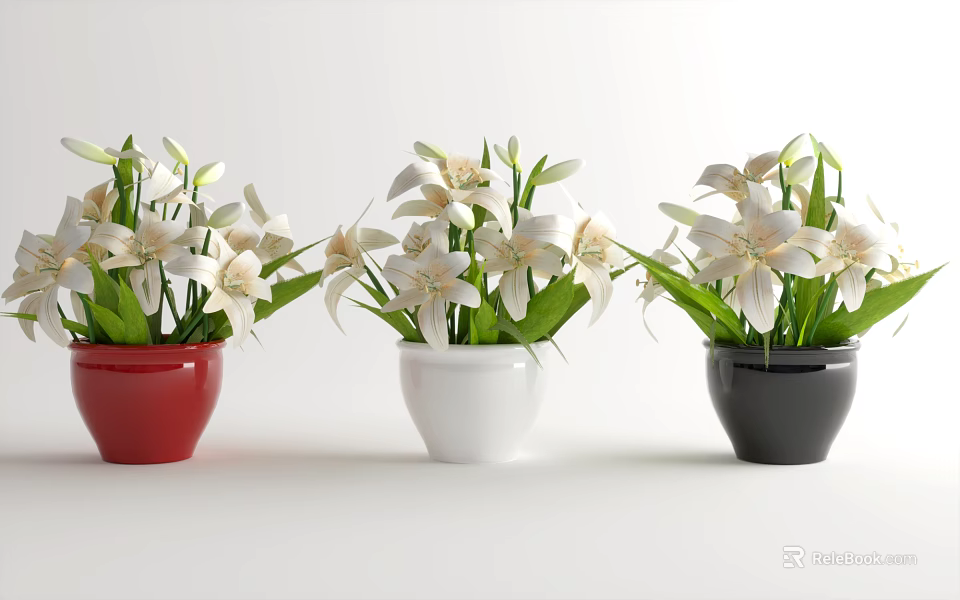 Bonsai Potted Plants With Red White Black Pots White Flowers And Green Leaves 3d model 