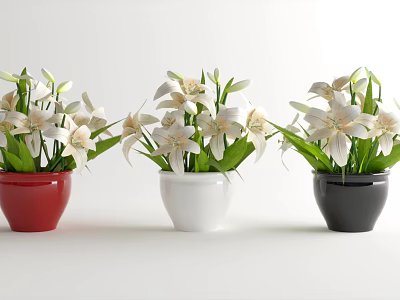 Bonsai Potted Plants With Red White Black Pots White Flowers And Green Leaves 3d model