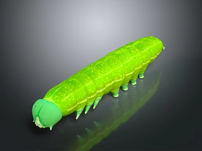 Lifelike Green Caterpillar Shaped Toy Figurine For Kids Household Decoration 3d model