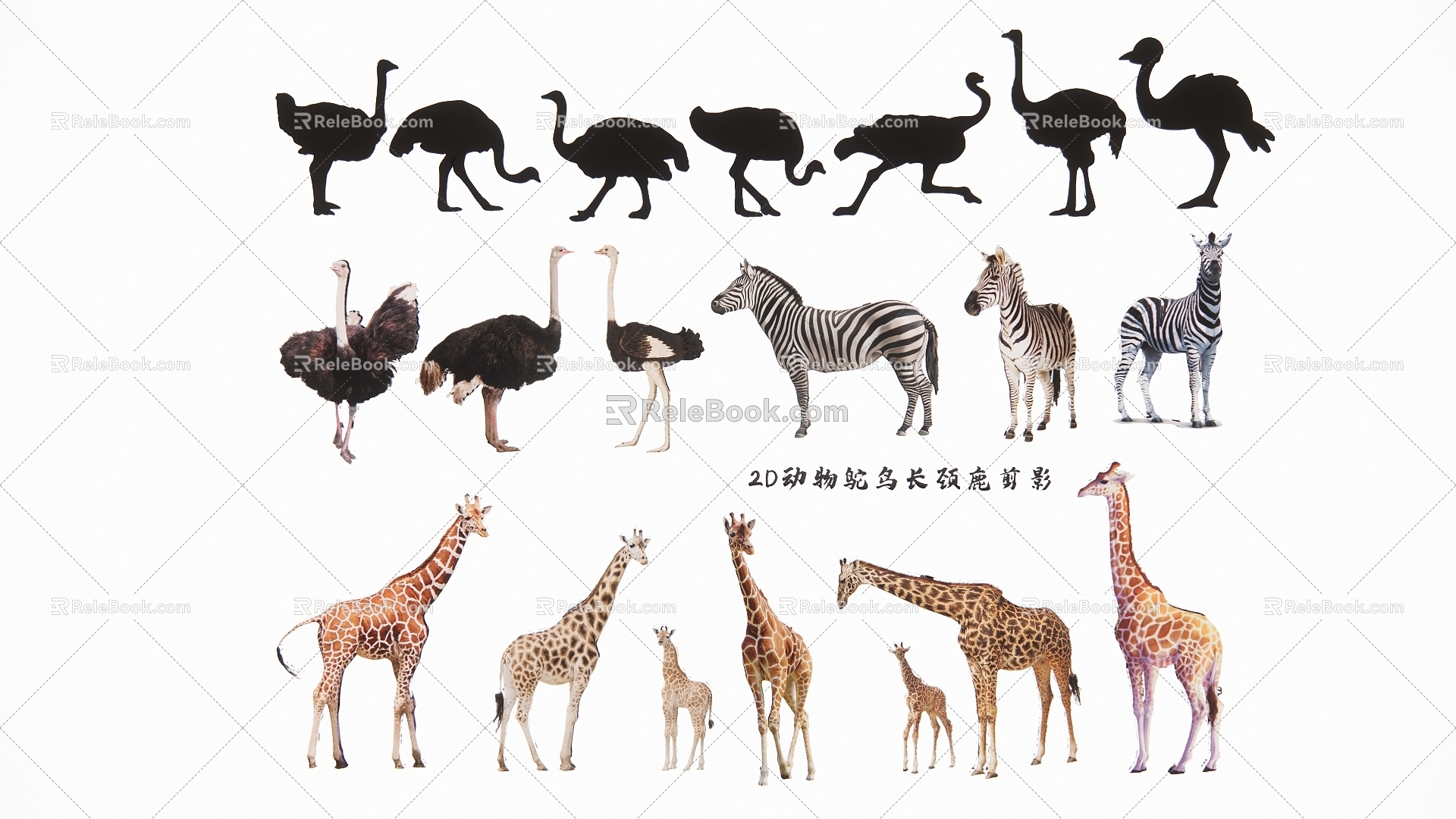 2D Animal Ostrich Giraffe Silhouette 3d model