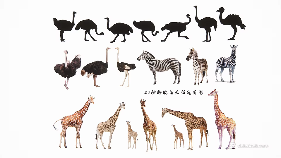 Various Aquatic Animals Silhouette Illustrations With Different Marine Species 3d model 