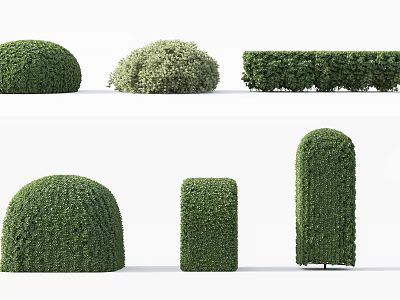 Beautifully Trimmed Garden Shrubs In Various Shapes For Outdoor Landscaping 3d model Beautifully Trimmed Garden Shrubs In Various Shapes For Outdoor Landscaping 3d model