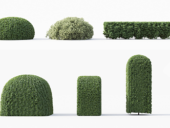 Modern shrubs 3d model