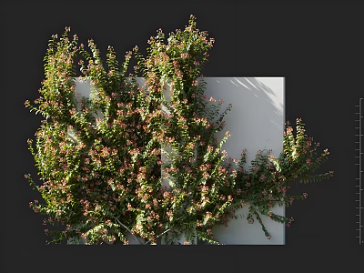 Vibrant Lush Vines With Green Leaves And Pink Flowers On White Wall Surface 3d model