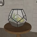 Succulent Bonsai Plant in Geometric Glass Pot on Wooden Table Indoor Decor