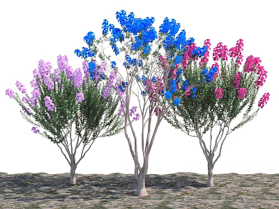 Three Flowering Trees With Blue Purple Pink Flowers And Light Colored Trunks On Sandy Ground 3d model