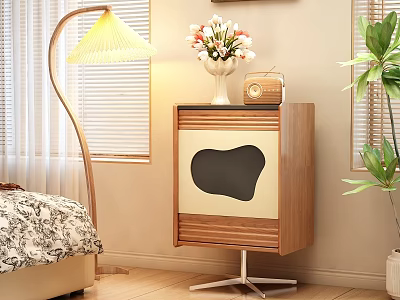 Wooden Decorative Cabinet with Flower Vase Vintage Radio Floor Lamp and Green Plant 3d model