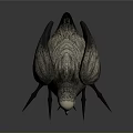 Grey Feathered Flying Animal with Long Legs Standing on Dark Surface with Reflection