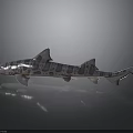 Detailed Silver Shark Model With Spots On Dark Background Showing Reflection