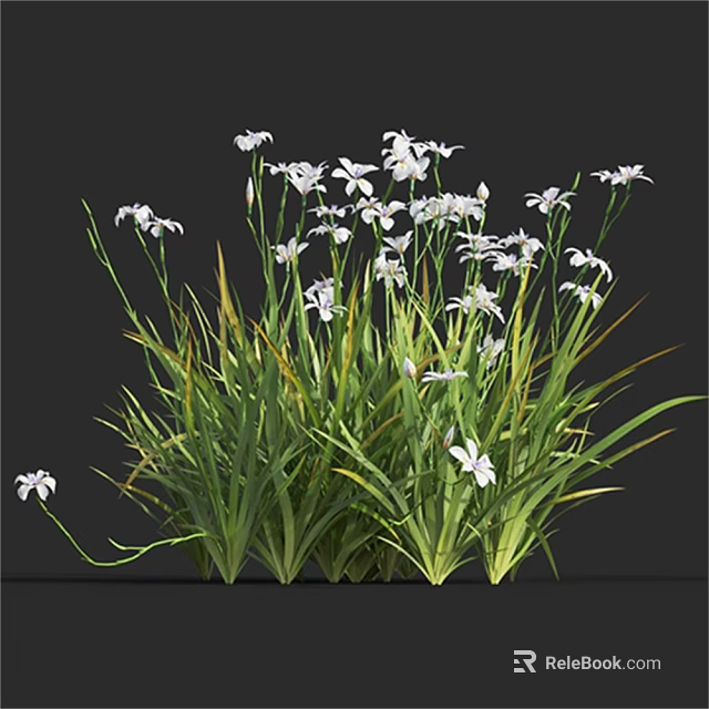 White Flowers Blooming Among Lush Green Grass In Natural Setting 3d model 