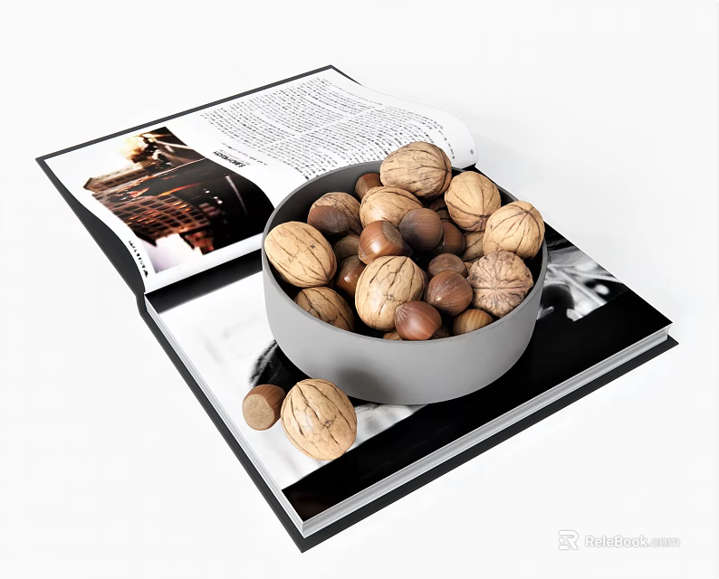 Bowl of Walnuts and Hazelnuts Placed on Open Book with Images and Text 3d model 