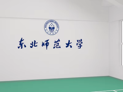 Northeast Normal University Indoor Sports Fitness Facility With Green Floor 3d model