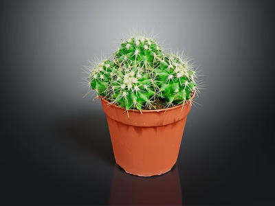Healthy Green Potted Cactus Plant With Spines In Brown Plastic Pot 3d model