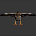 Realistic Duck With Green Head Brown Body Orange Webbed Feet And Spread Wings