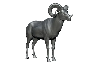 Realistic Gray Ram 3D Model With Large Curved Horns In Standing Pose 3d model