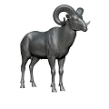 Realistic Gray Ram 3D Model With Large Curved Horns In Standing Pose 3d model