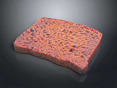 Square Baked Toast Slice With Porous Golden Orange Red Crusty Surface Texture 3d model