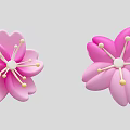 Elegant Floral Display With Pink Cherry Blossom Petals And Yellow Stamens