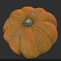 Detailed Botanical Painting of Orange Pumpkin with Round Shape and Textured Surface