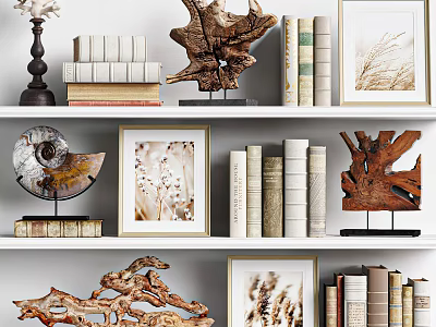Decorative Ornaments Set With Wooden Sculptures Shell Display Framed Art And Books On Shelf 3d model
