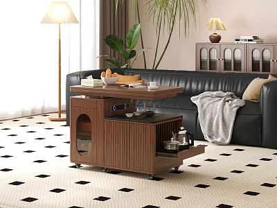 Modern Wooden Coffee Table With Storage Shelves Black Leather Sofa Geometric Rug And Potted Plant 3d model
