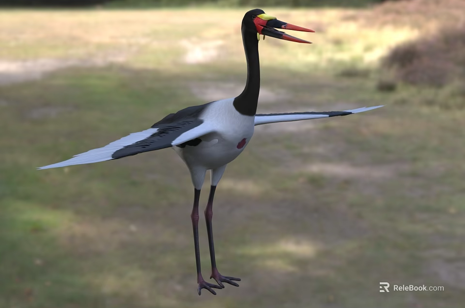 Marabou Stork Black And White Plumage Long Red Beak Outstretched Wings On Grassy Field 3d model 
