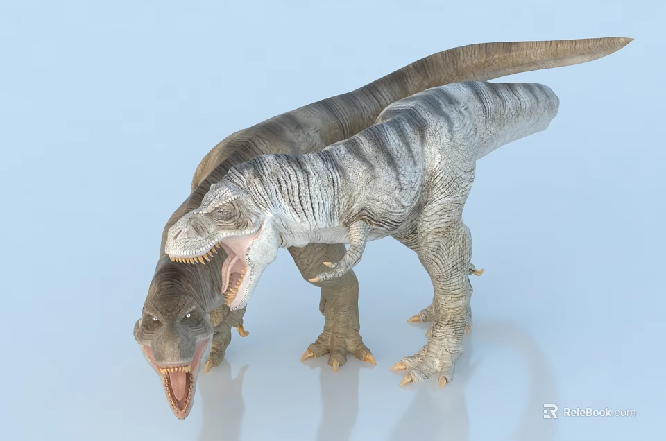 Two Detailed Tyrannosaurus Rex Dinosaurs Standing Together With Open Mouths 3d model 