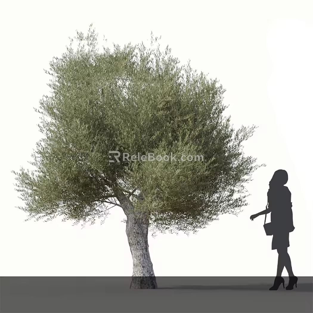 Modern Olive Tree Olive Big Tree 3d model