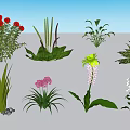 Colorful Assorted Flowers and Green Plants for Home and Garden Decoration