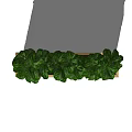 Lush Green Potted Plants In Wooden Rectangular Planter For Home Garden