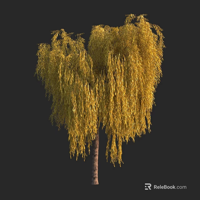 Willow Tree With Yellow Drooping Branches And Brown Trunk In Black Background 3d model 