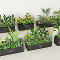 Various Green Plants And Flowers In Black Planters For Indoor Decoration