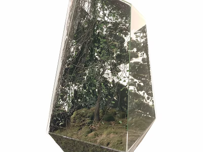 Lush Moss Enclosed in Transparent Polyhedron Container with Rocks And Tree Reflections 3d model