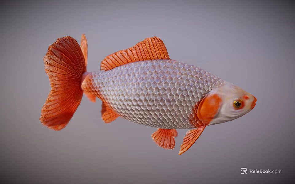Vibrant Aquatic Animal With Silver Body Orange Fins Tail And Red Eyes 3d model 
