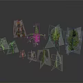 Various Green Plants Collection With Different Shapes And Sizes Displayed On Gray Background