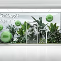 Sophisticated Shop Window Display With Green Spheres Plants And Glass Shelves