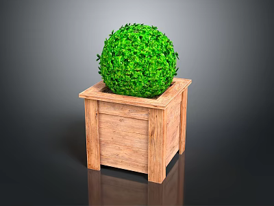 Green Round Topiary Plant In Wooden Square Decorative Planter Box 3d model