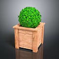 Green Round Topiary Plant In Wooden Square Decorative Planter Box