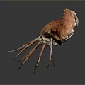 Orange Spotted Crab With Large Claws And Long Legs On Dark Background 3d model