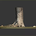 Tree Stump With Exposed Roots And Grassy Surroundings With Scattered Stones