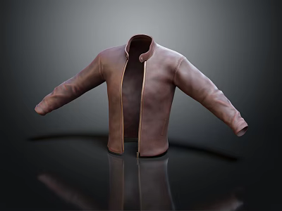 Classic Brown Leather Jacket With Stand Collar Open Front And Long Sleeves 3d model