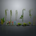 Various Indoor Plants Collection Featuring Hanging Vines Green Foliage Flowering Shoots And Bamboo