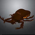 Orange Shiny Beetle with Intricate Horns and Legs on Dark Surface