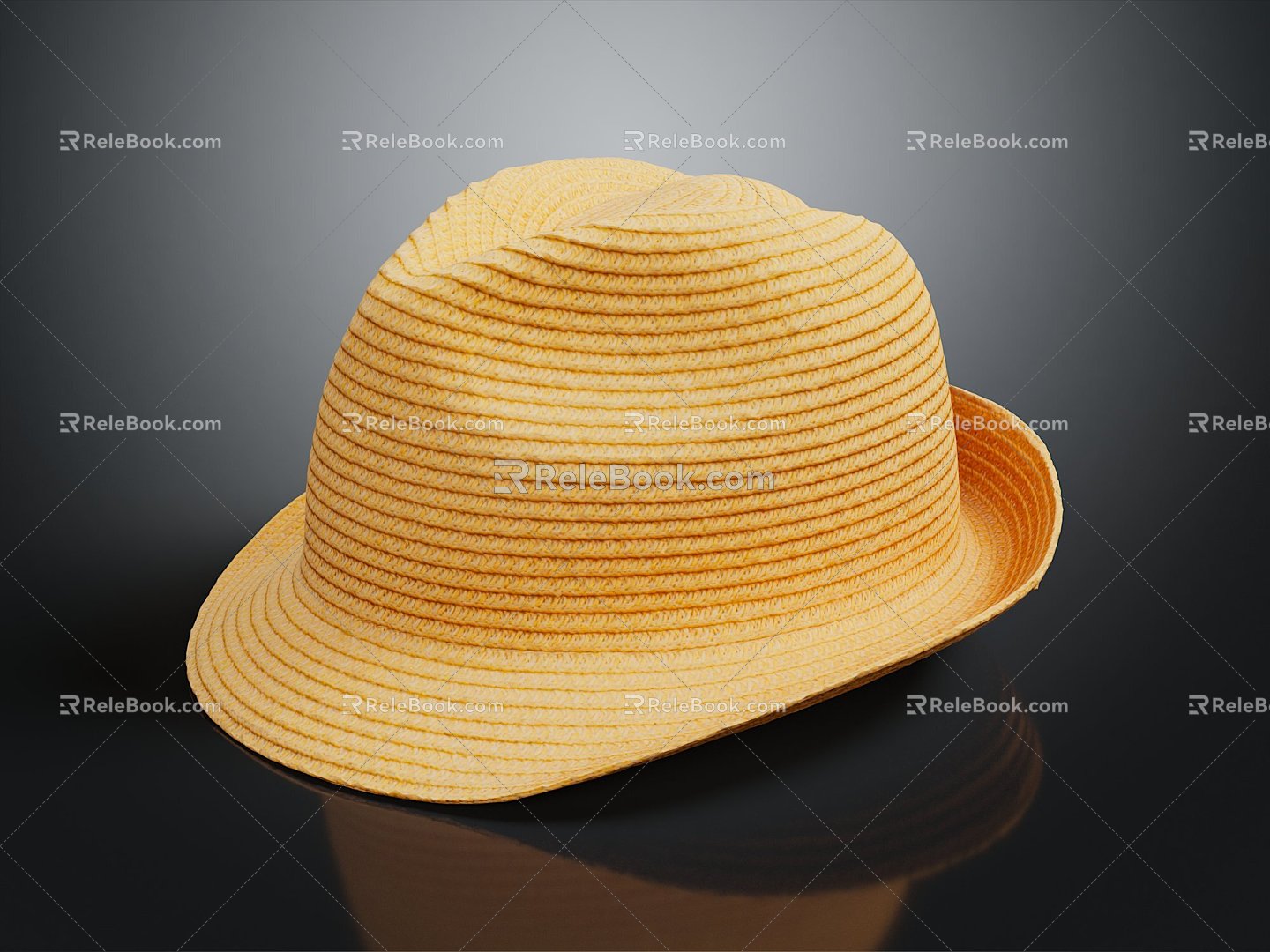 Modern Hat Straw Hat model