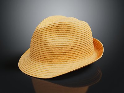 Modern Hat Straw Hat model