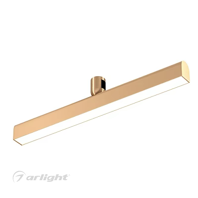 Modern Golden Downlight Spotlight Strip Design Indoor Lighting Fixture For Home Decoration 3d model