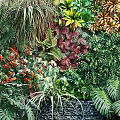 Lush Living Plant Wall With Colorful Flowers Waterfall Feature And Wooden Fence